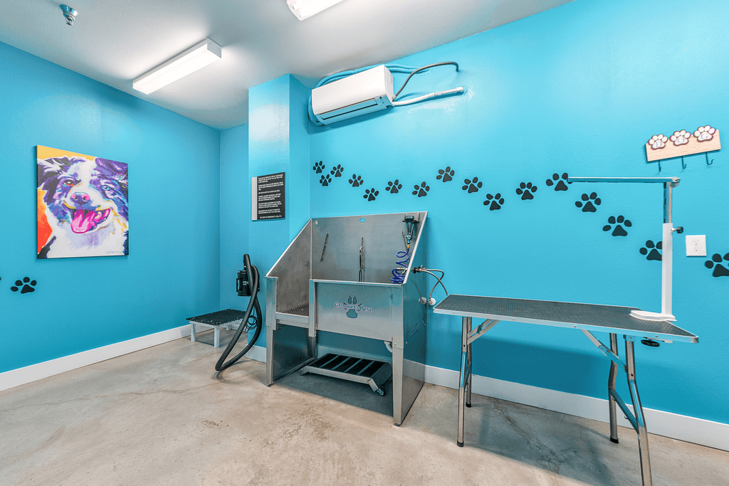 A blue room with a table and a machine.