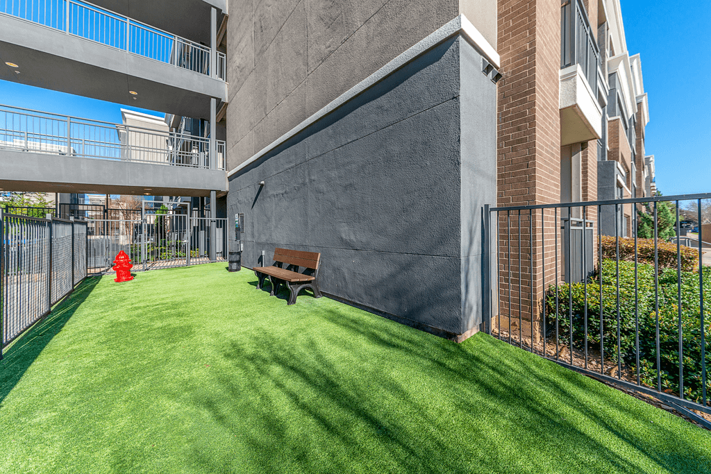A small patch of grass in front of a grey wall.