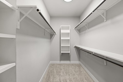 A white room with a carpeted floor and a ladder in the middle.