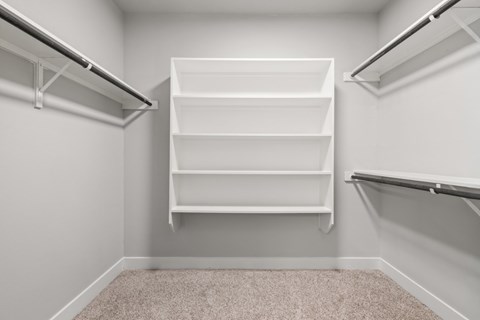 A white closet with shelves and a carpeted floor.