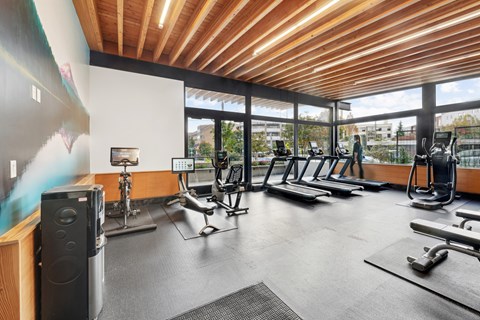 A gym with treadmills, weights, and exercise equipment.