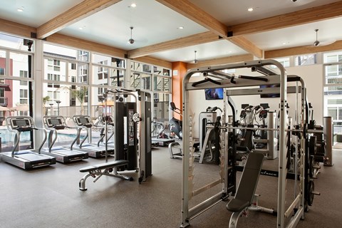 A gym with treadmills, elliptical machines and other exercise equipment.