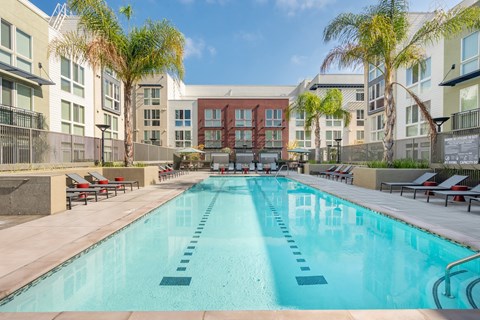 A large swimming pool in front of apartment buildings.