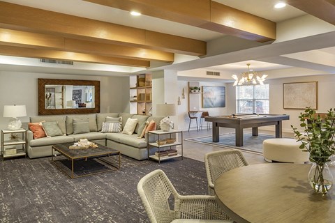 Clubhouse Lounge and Game Room