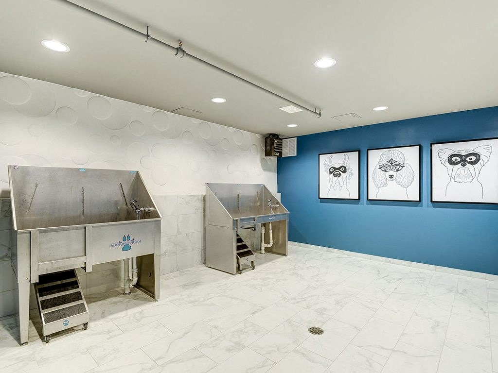 Bell Shady Grove Pet Spa