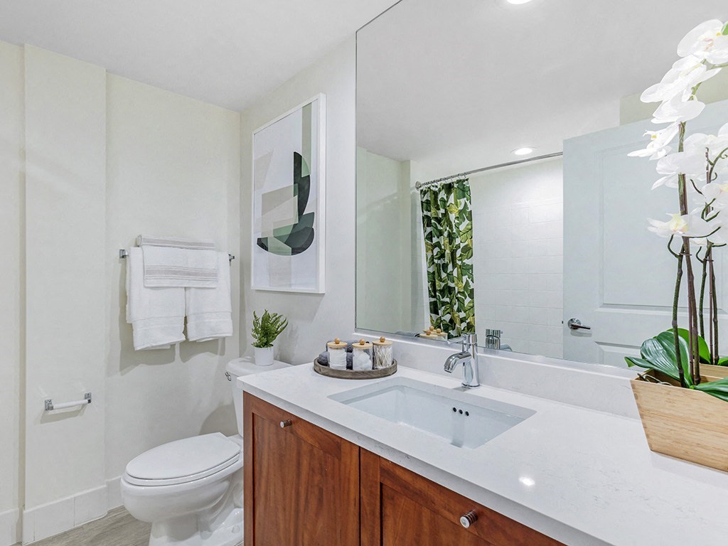 a bathroom with a sink and a toilet and a mirror