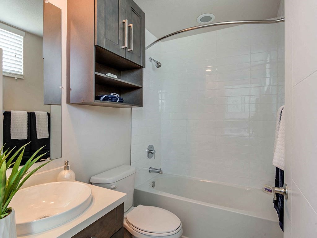 A bathroom with a toilet, sink, and shower.