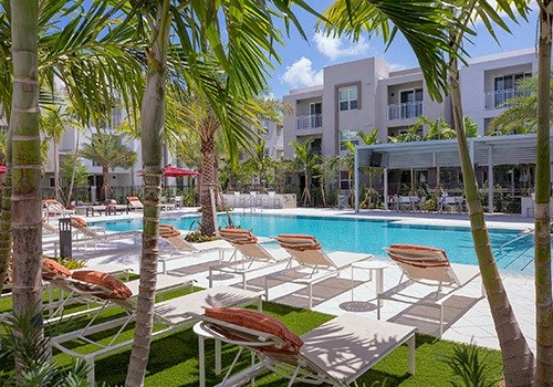 A pool surrounded by palm trees and lounge chairs.
