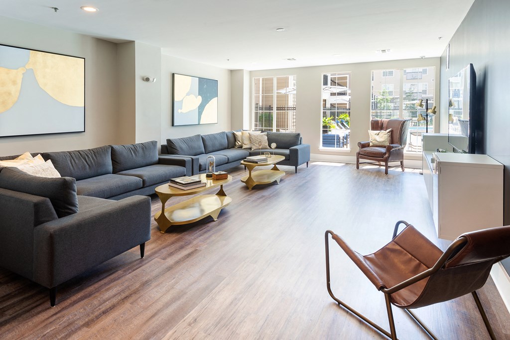 Well Lit Living Spaces at Bell Annapolis on West, Annapolis, MD, 21401