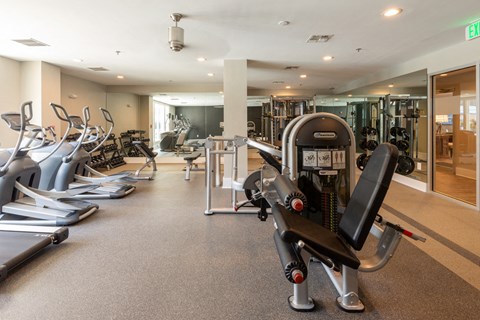 Fitness Center With Modern Equipment at Bell Annapolis on West, Annapolis, MD