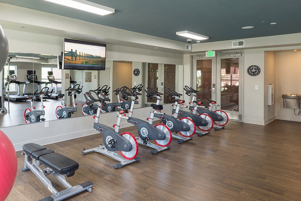 a row of spin bikes in a gym with a wall mounted tv