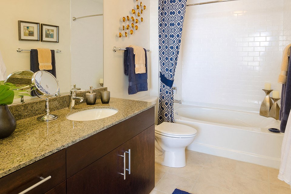 a bathroom with a sink and a toilet