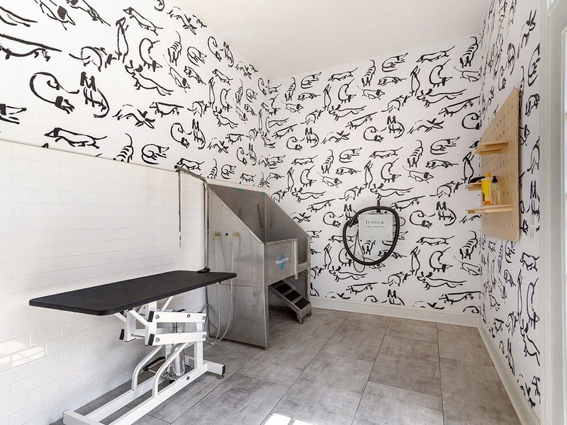 BellAlpharetta_PetSpa