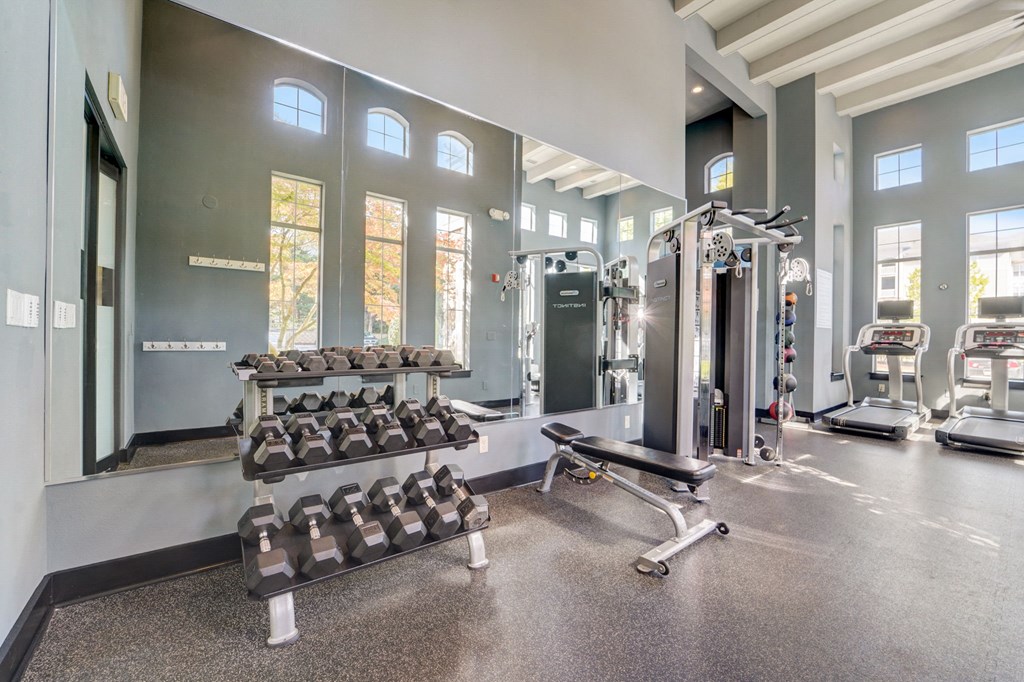 the gym at the preserve at cardinal heights apartments
