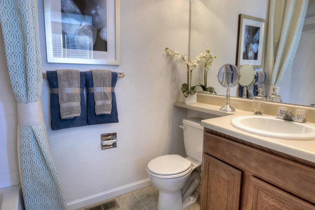 a bathroom with a toilet and a sink and a mirror