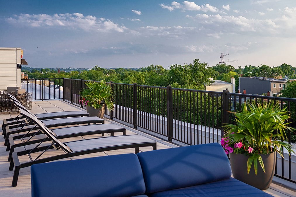 a rooftop deck with lounge chairs and plants