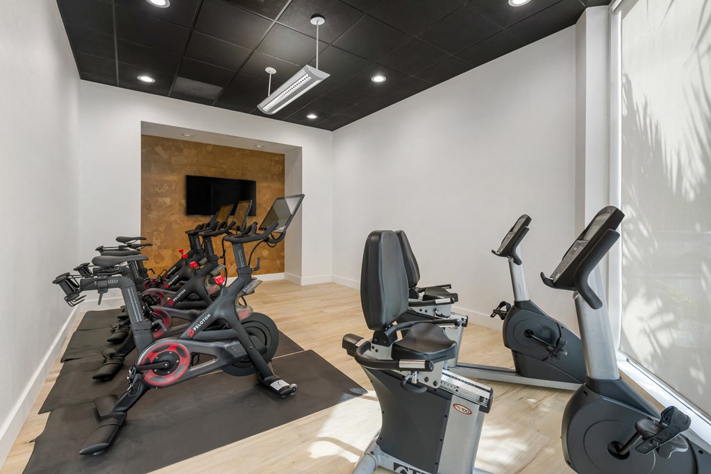 a gym with various exercise bikes and a fireplace