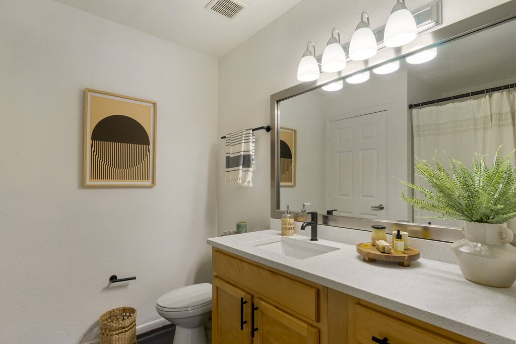 a bathroom with a sink and a toilet and a mirror