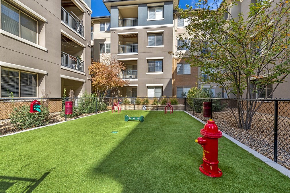 Bell Denver Tech Center_Dog Park