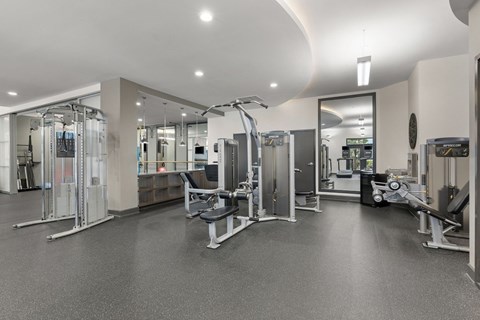 A spacious gym with a variety of equipment.