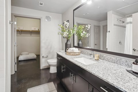 a bathroom with a sink and a toilet and a mirror