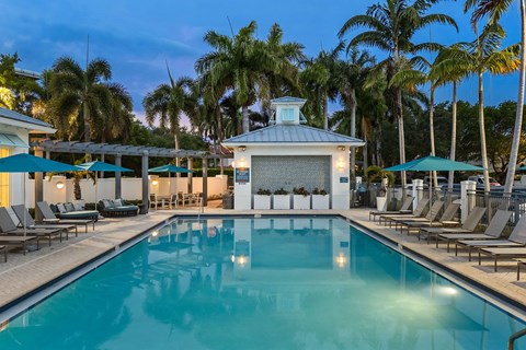 A pool with a white building in the background and palm trees.