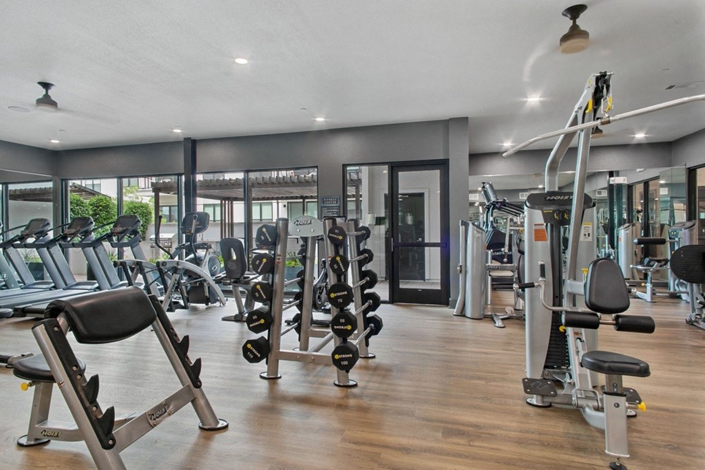 a gym with cardio equipment and weights