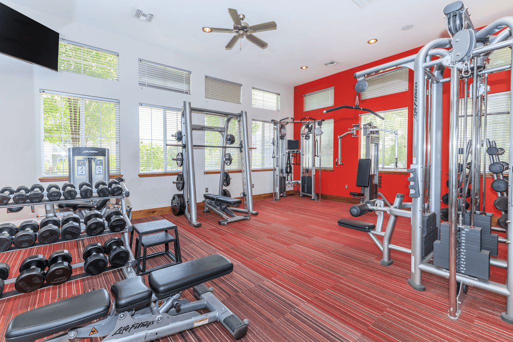 A gym with a variety of equipment including dumbbells, weight plates, and a bench.