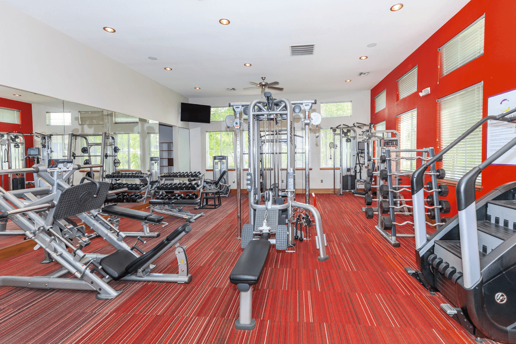 A gym with a red carpet and various exercise equipment.