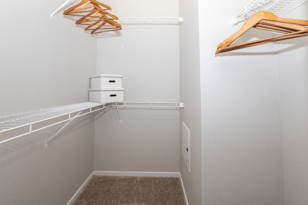 A white closet with a carpeted floor and a white shelf.