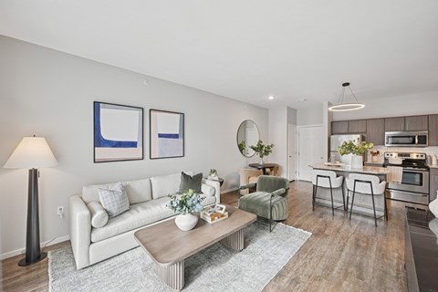 A modern living room with a white couch and a grey rug.