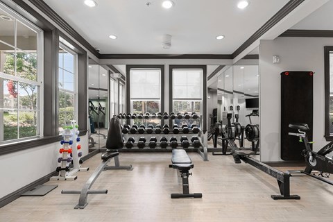 A spacious gym with a variety of equipment and a view of trees outside the windows.