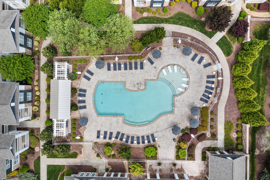 an aerial view of a swimming pool with trees around it