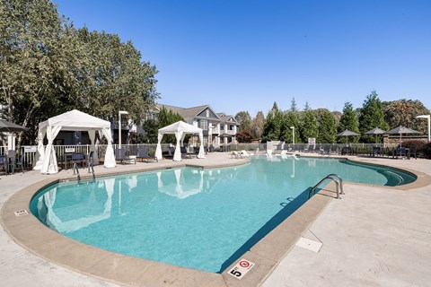 A large outdoor swimming pool surrounded by trees and umbrellas.