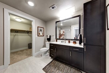 Bell Lakeshore Bathroom with Linen Closet - Photo Gallery 10