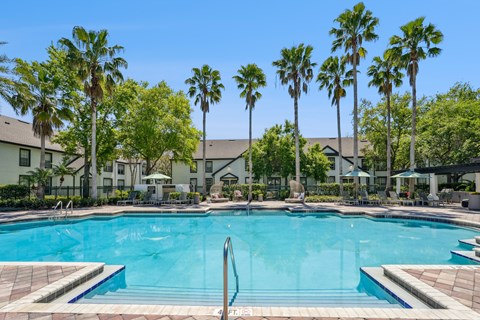 A large swimming pool surrounded by palm trees and lounge chairs.