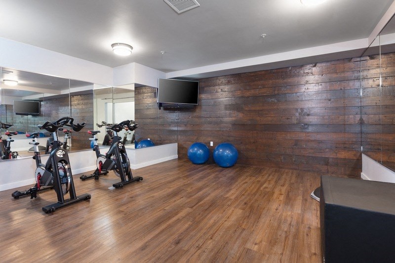 a gym with exercise balls and a tv on the wall
