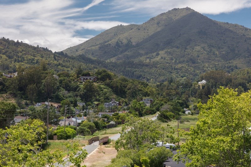 a view of a town with a mountain in the background