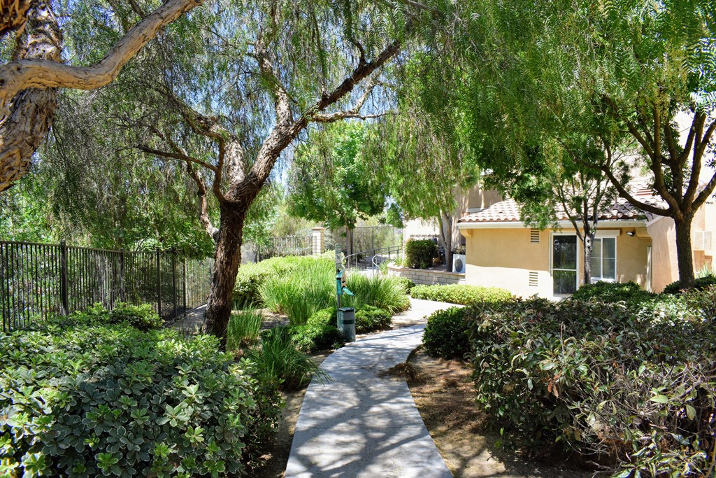 a walkway with trees and bushes in front of a house