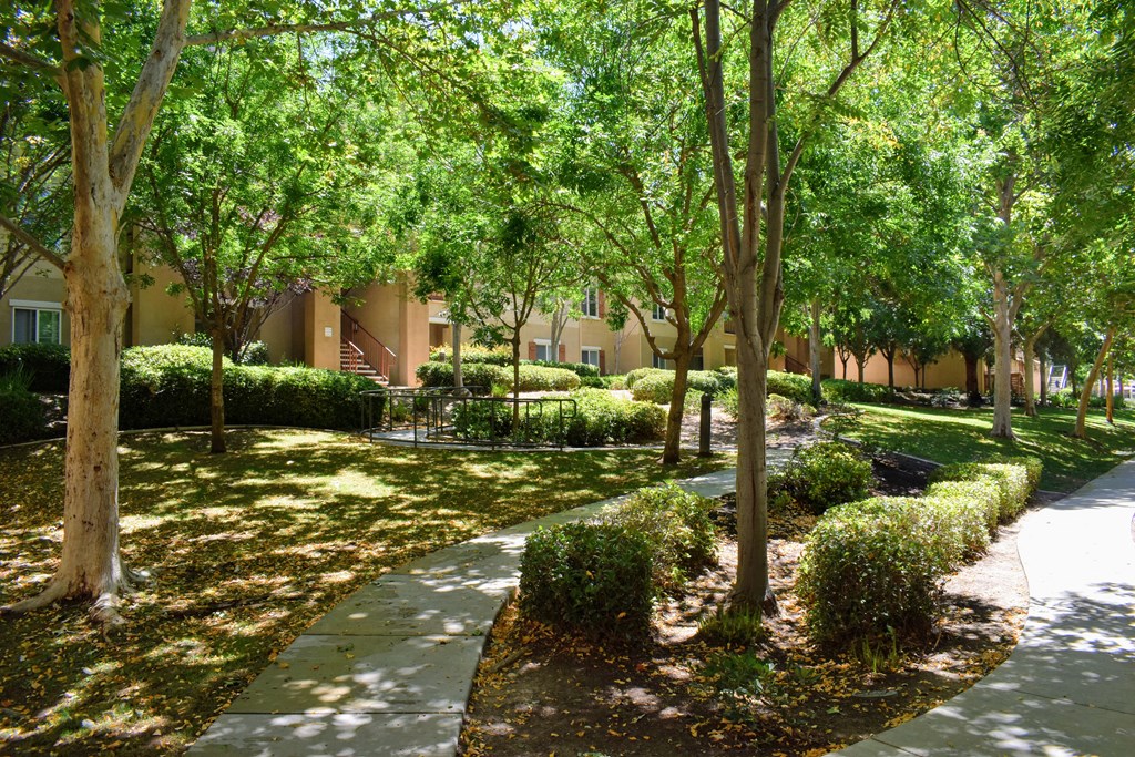 a courtyard with trees and bushes in front of a building