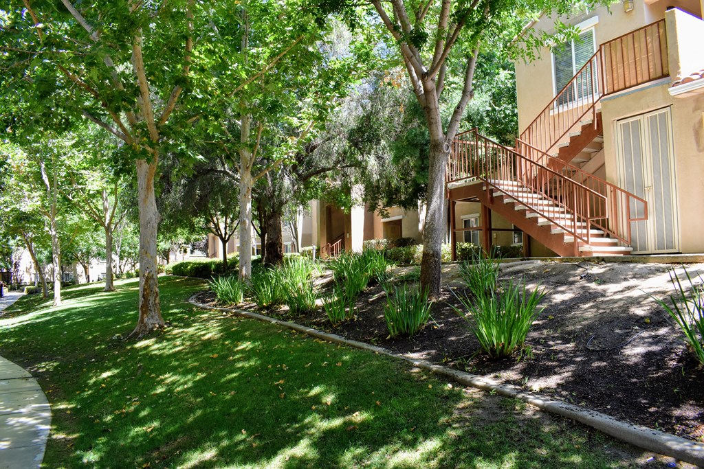 a yard with trees and a building with stairs