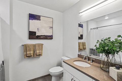 a bathroom with a sink and a toilet and a mirror