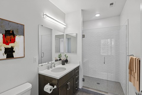 a bathroom with a shower and a sink and a mirror
