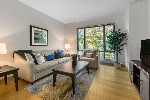 A living room with a couch, a chair, a coffee table, and a television.