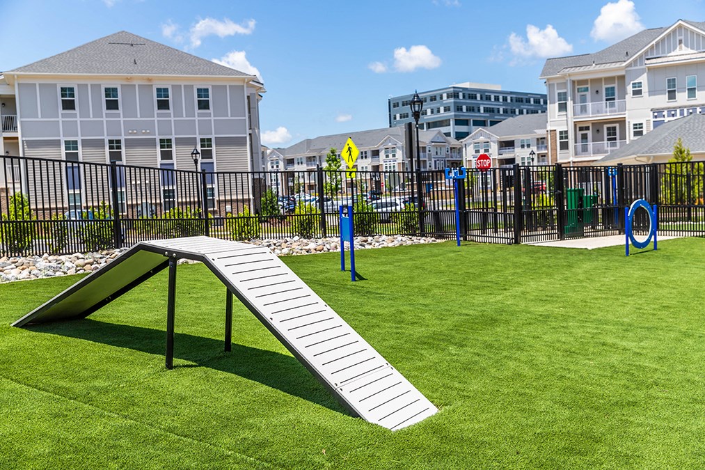 exterior dog park