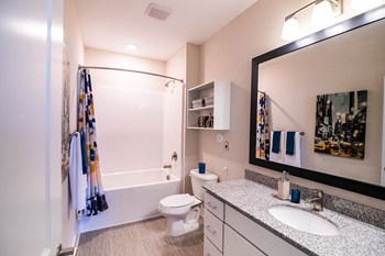Model interior bathroom with shower/tub combo and bathroom sink/mirrior - Photo Gallery 5