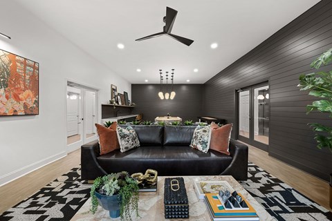 A black couch with pillows and a plant on a rug in a room.