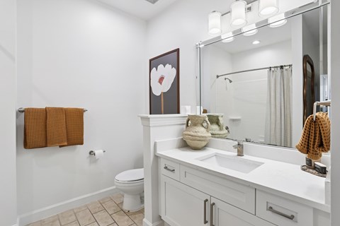 A bathroom with a toilet, sink, and a mirror.