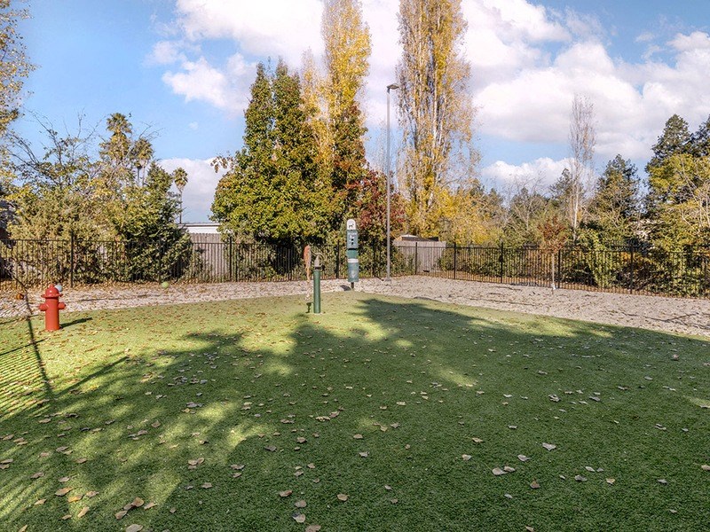 a yard with a red fire hydrant in the grass