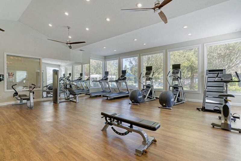 the gym has plenty of cardio equipment and floor to ceiling windows